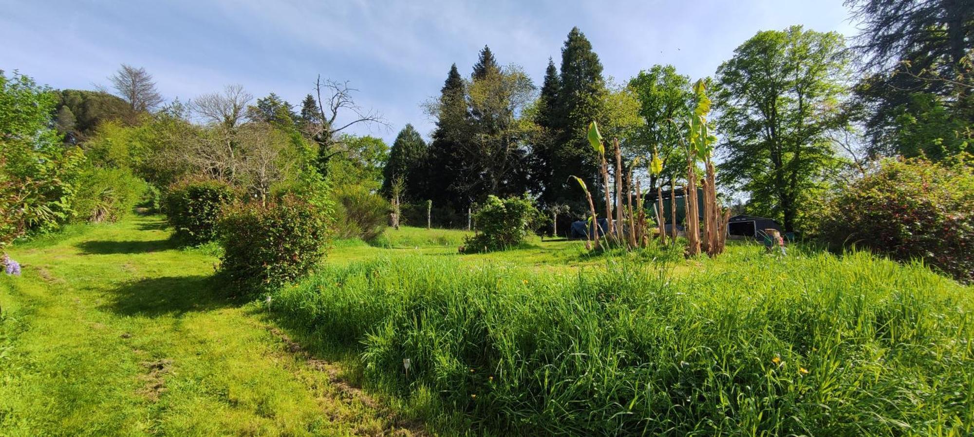孔佛朗13 Bees住宿加早餐旅馆 外观 照片