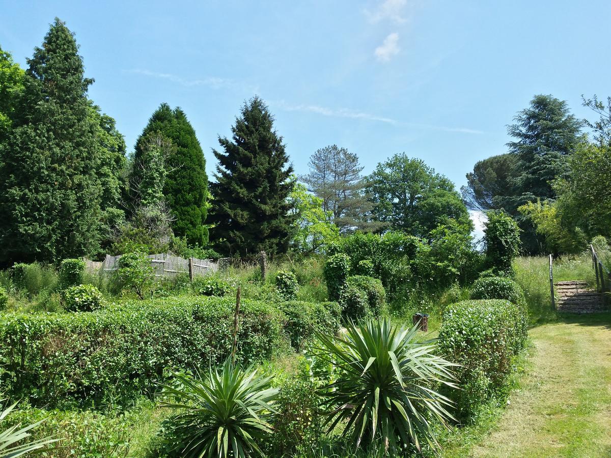 孔佛朗13 Bees住宿加早餐旅馆 外观 照片
