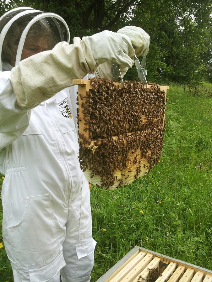 孔佛朗13 Bees住宿加早餐旅馆 外观 照片