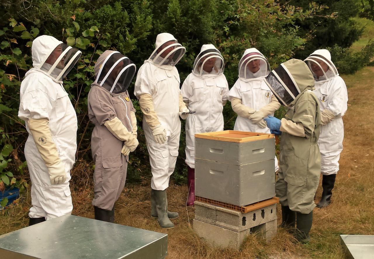 孔佛朗13 Bees住宿加早餐旅馆 外观 照片